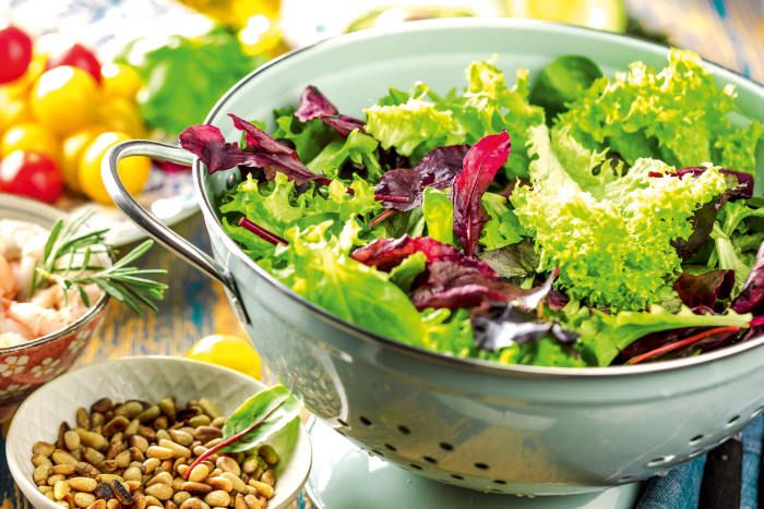 Saftiger Salat - Ernährung bei einer Speicherkrankheit