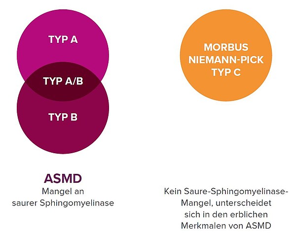 Darstellung der unterschiedlichen Ursachen von ASMD und Niemann-Pick Typ C 